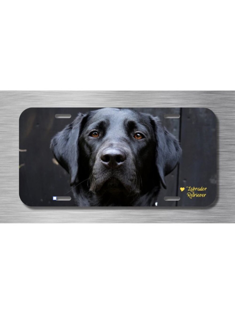 Labrador Retriever Black Lab Dog Puppy Vehicle License Plate Front Auto Tag NEW